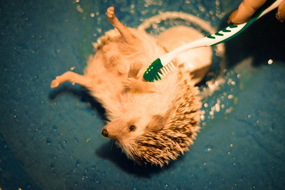 Photograph by Галина Лунева