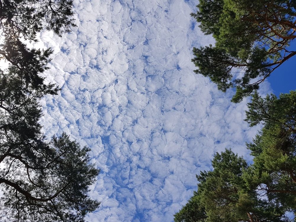 облака-вата?!