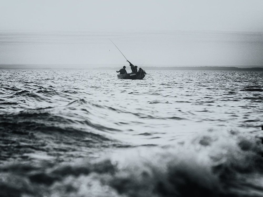 Photograph by Андрей Баскевич