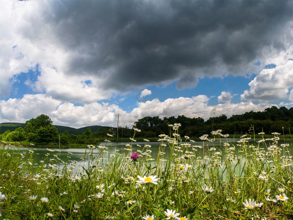 Photograph by Сударыня-МСИ