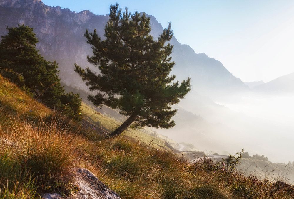 Fog in Ingushetia mountains