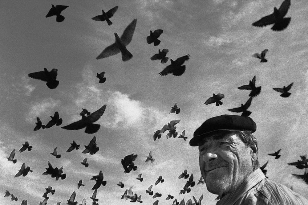 Под небом голубым