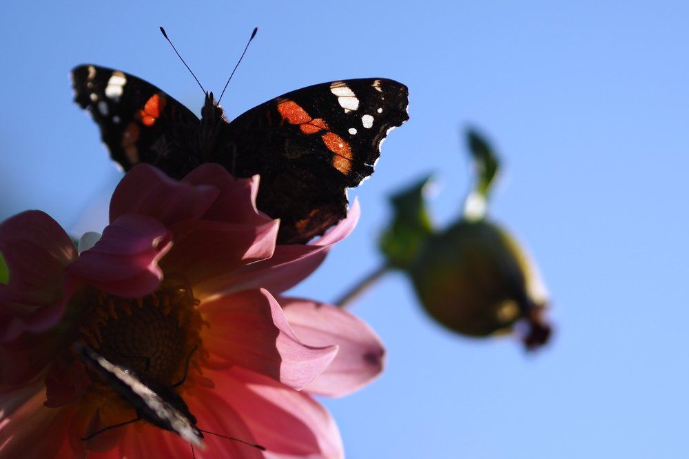 Photograph by Юрий Рязанов