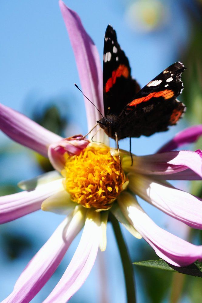 Photograph by Юрий Рязанов