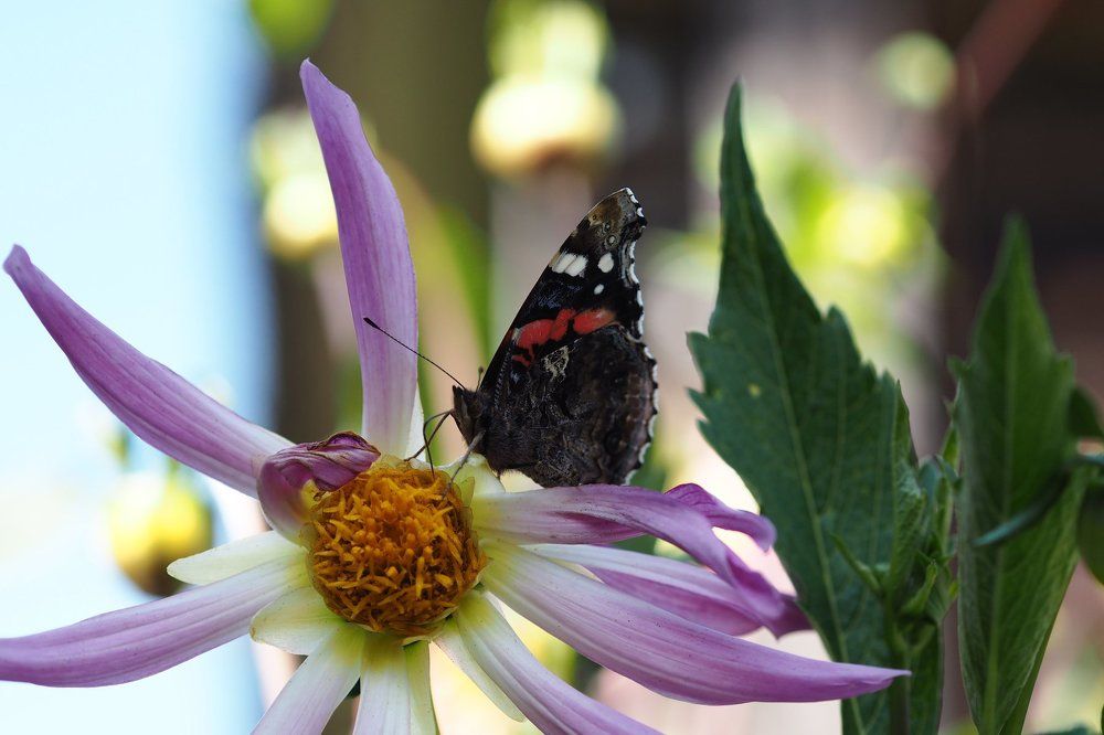 Photograph by Юрий Рязанов