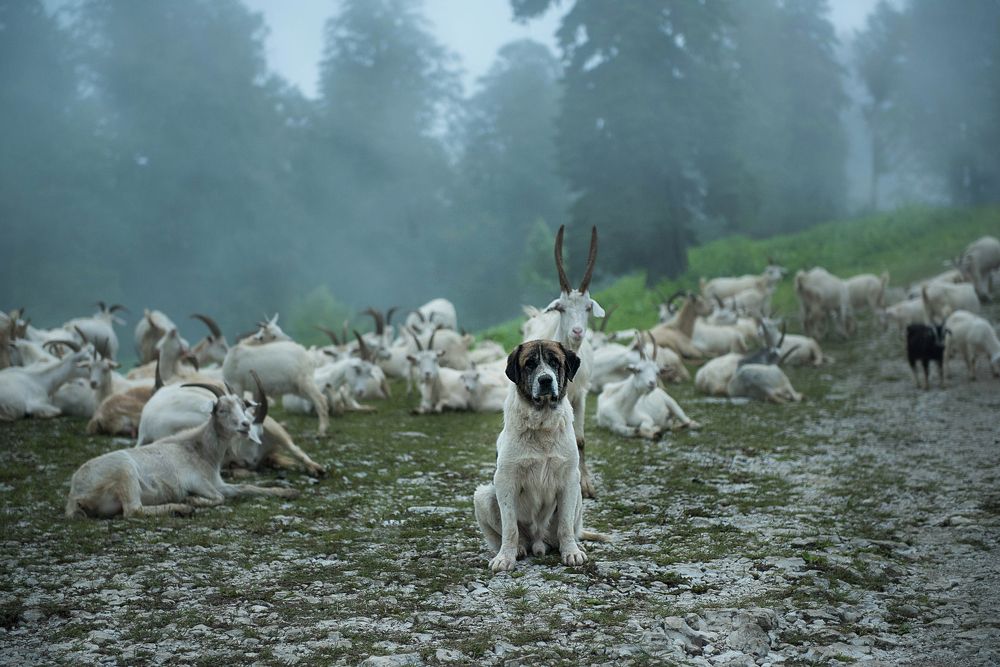 Фотография автора Ирина Войнова