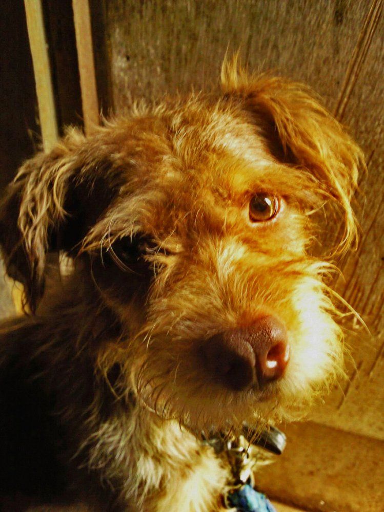 Afternoon Photogenic