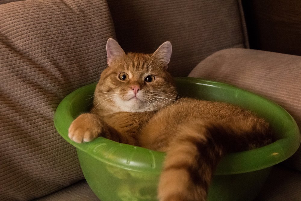 Азъ есмь Царь!