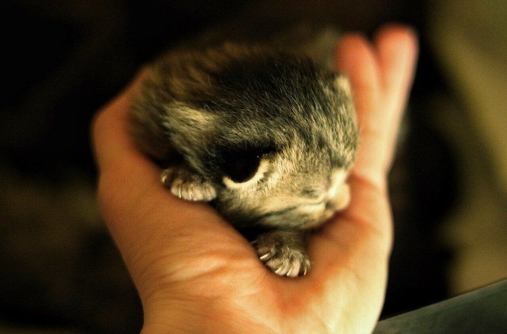 Мы ответственны ...