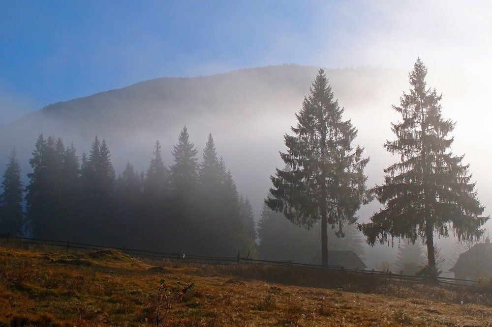 Осенний туман в Карпатах.