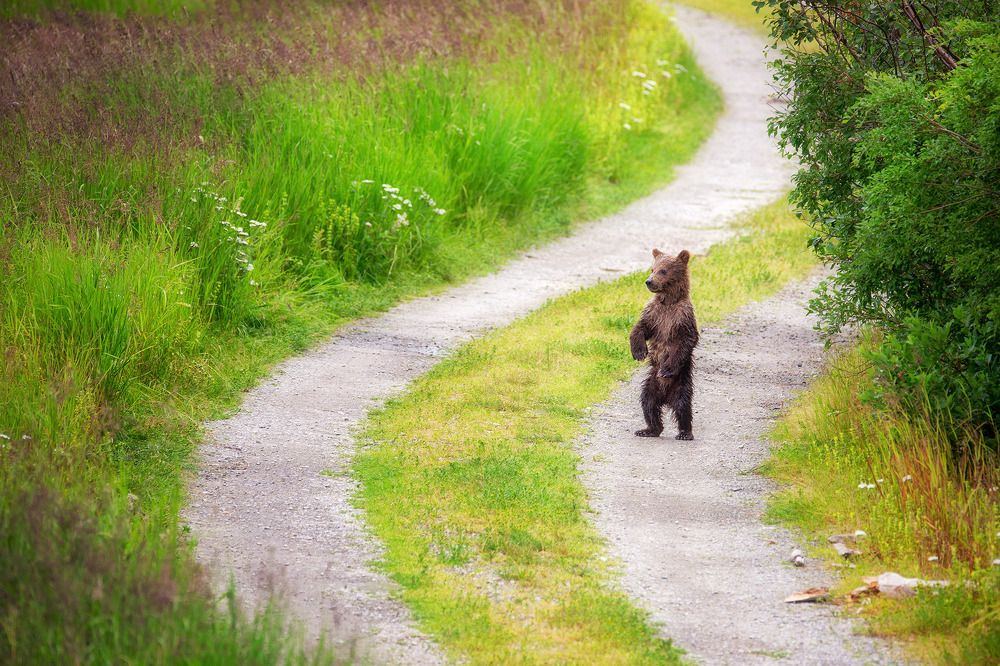 Мама, ты где?