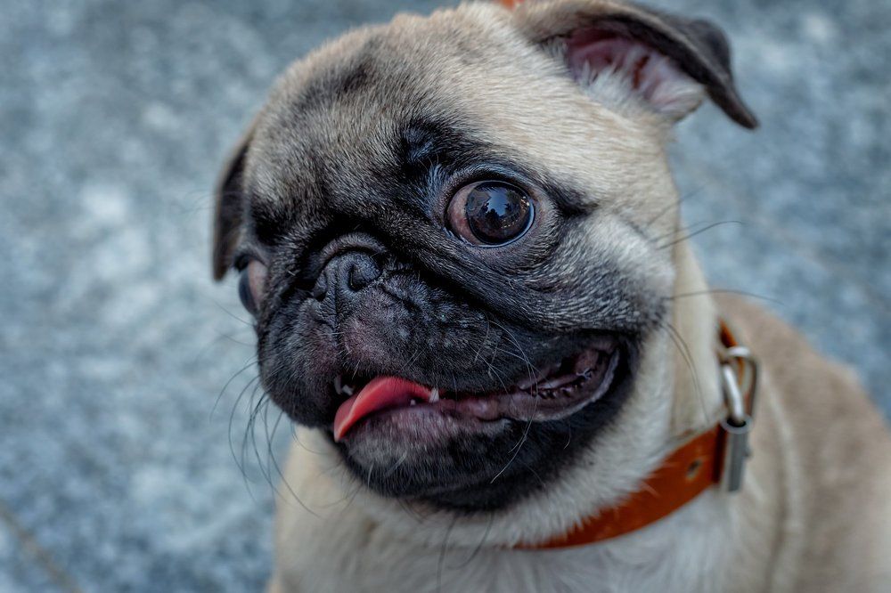 Photograph by Чунина Наталья