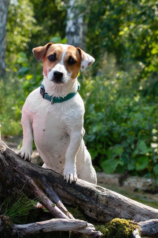 Photograph by Evgenii Pyatkov