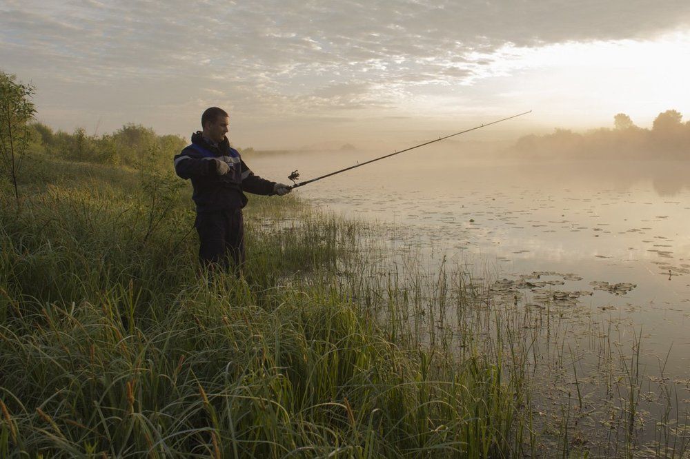 На утренней зорьке