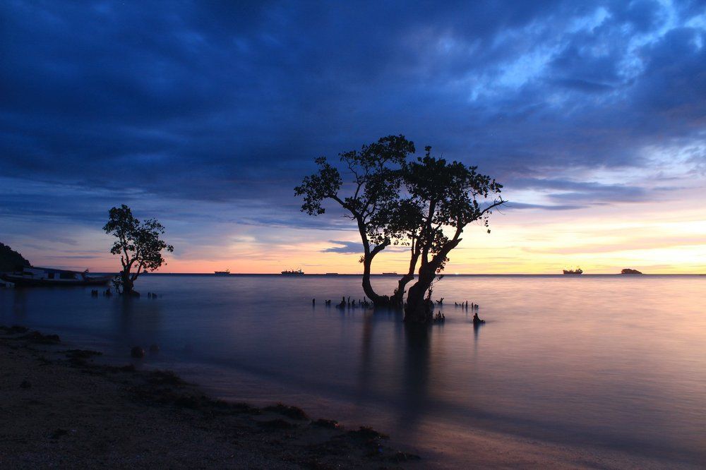 lovely sunset