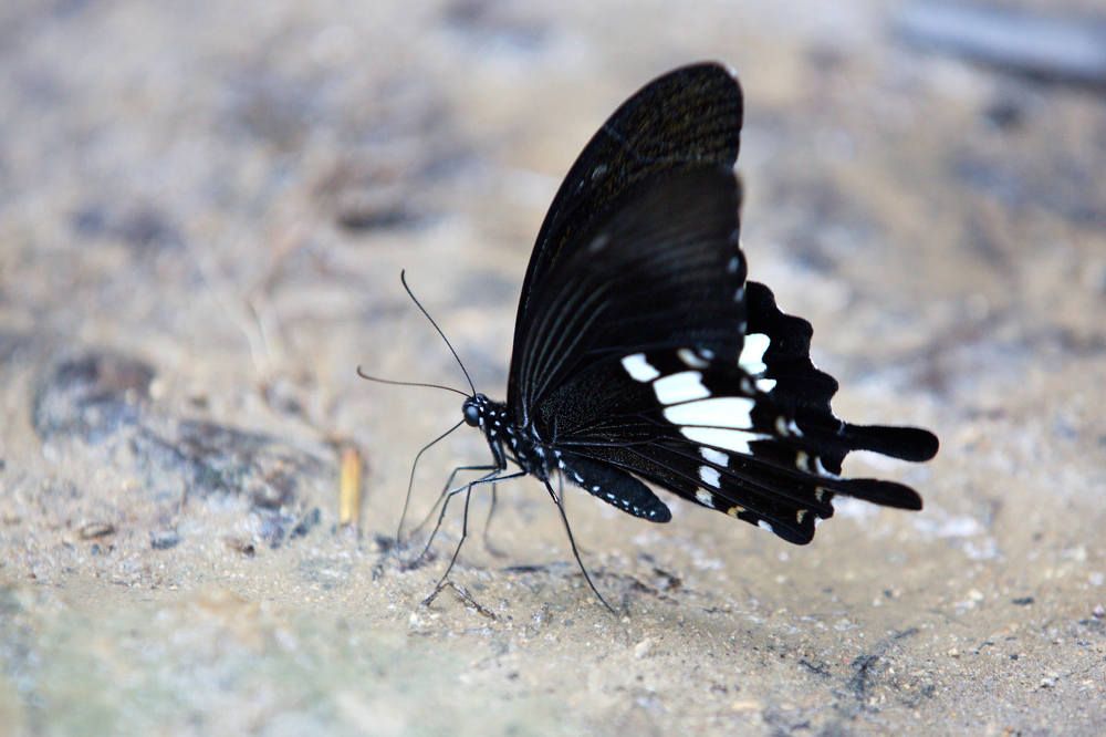 Photograph by Беспалов Александр