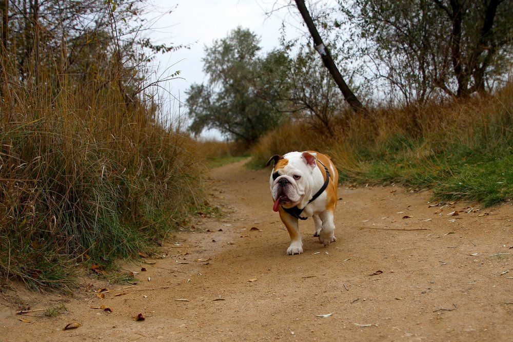 Photograph by Rouslan Chernyshev