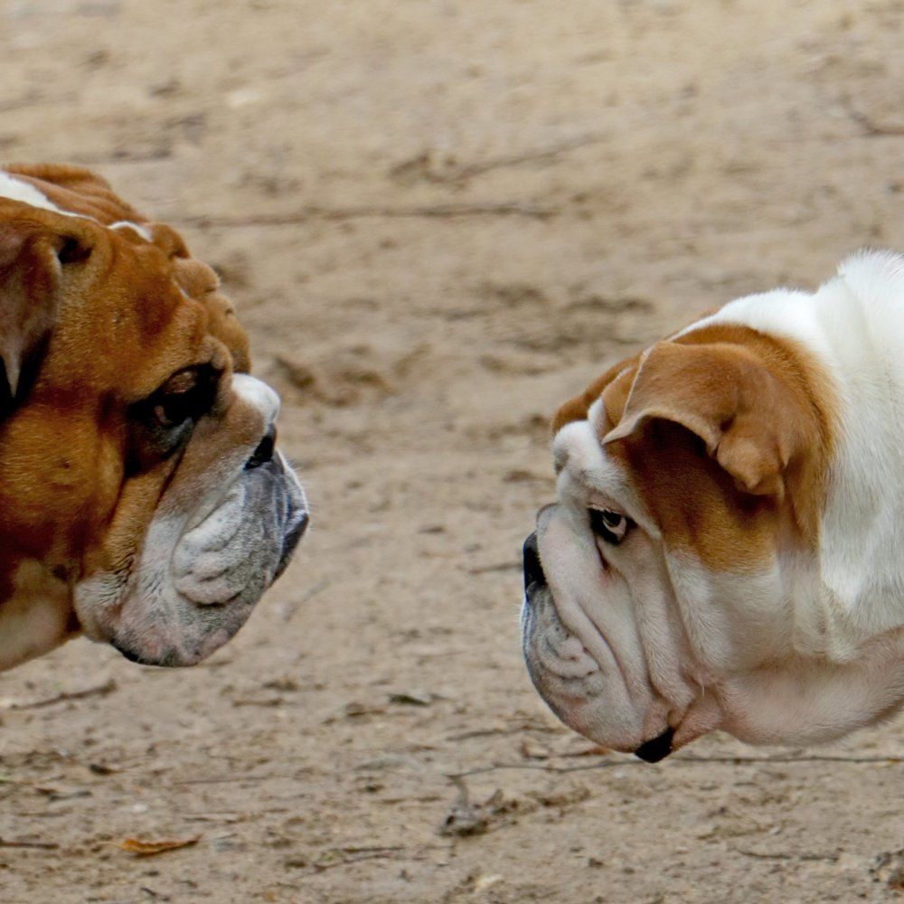 Photograph by Rouslan Chernyshev