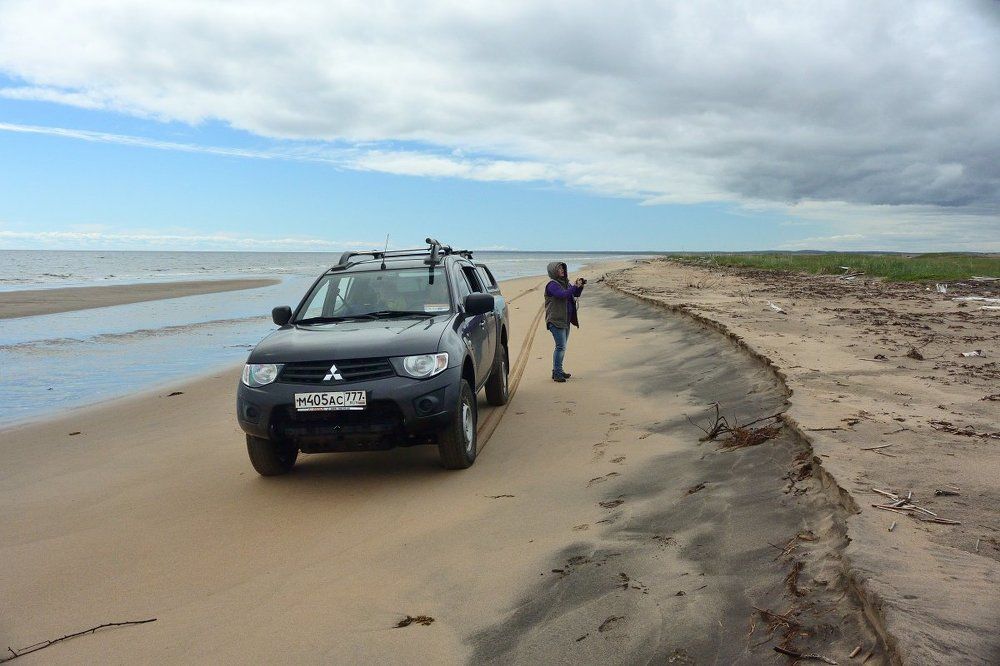 Орнитология