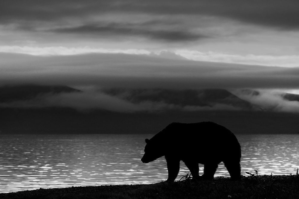 Тени Курильского озера.