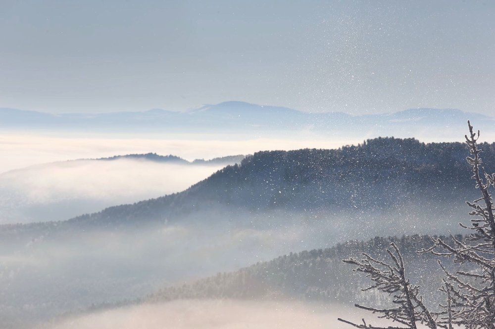 Туман на Семинский перевале