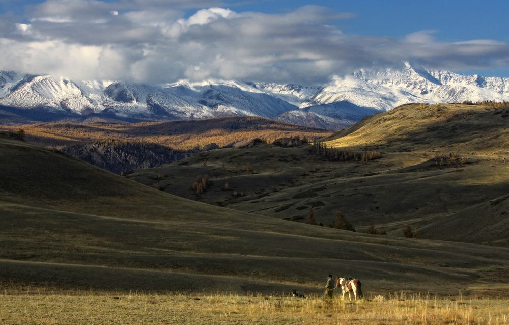 Алтайские будни