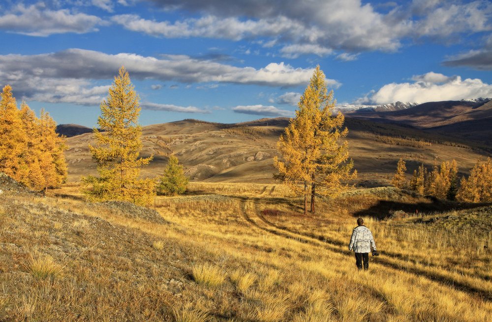 Photograph by Галина Хвостенко