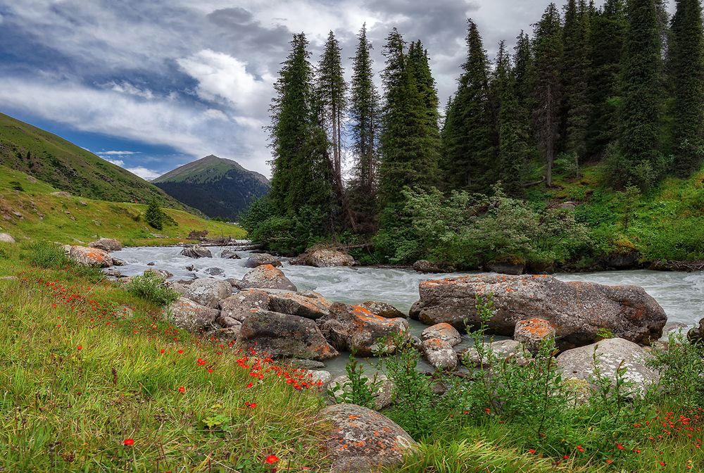 Алтын-Арашан