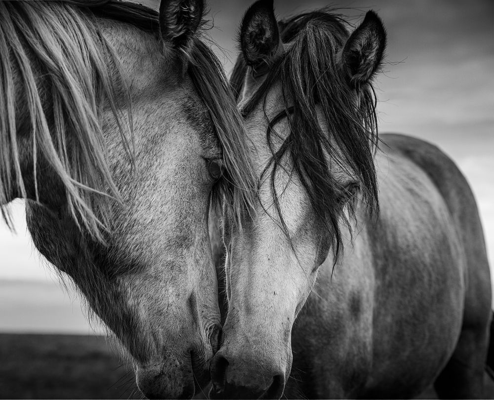 Photograph by Дмитрий Симбаев