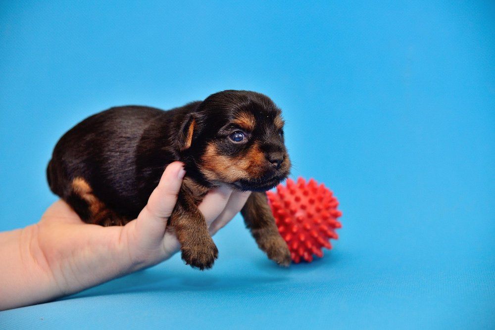 Photograph by Оксана Астрова