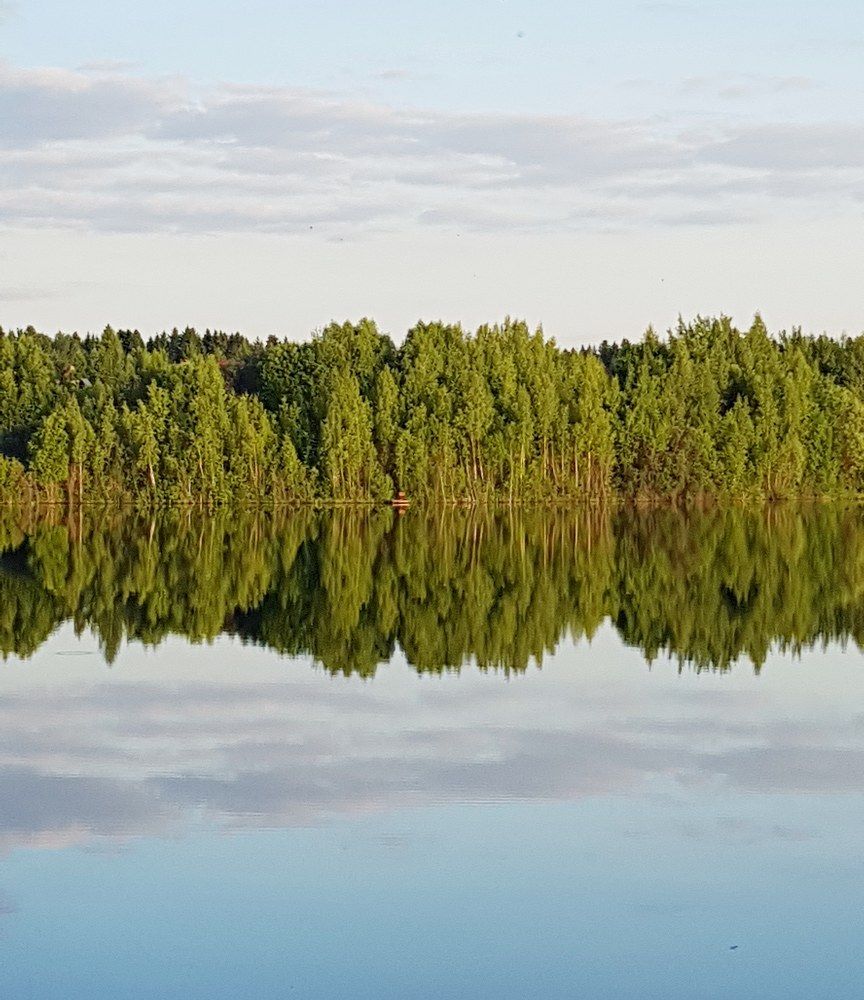 Умиротворение