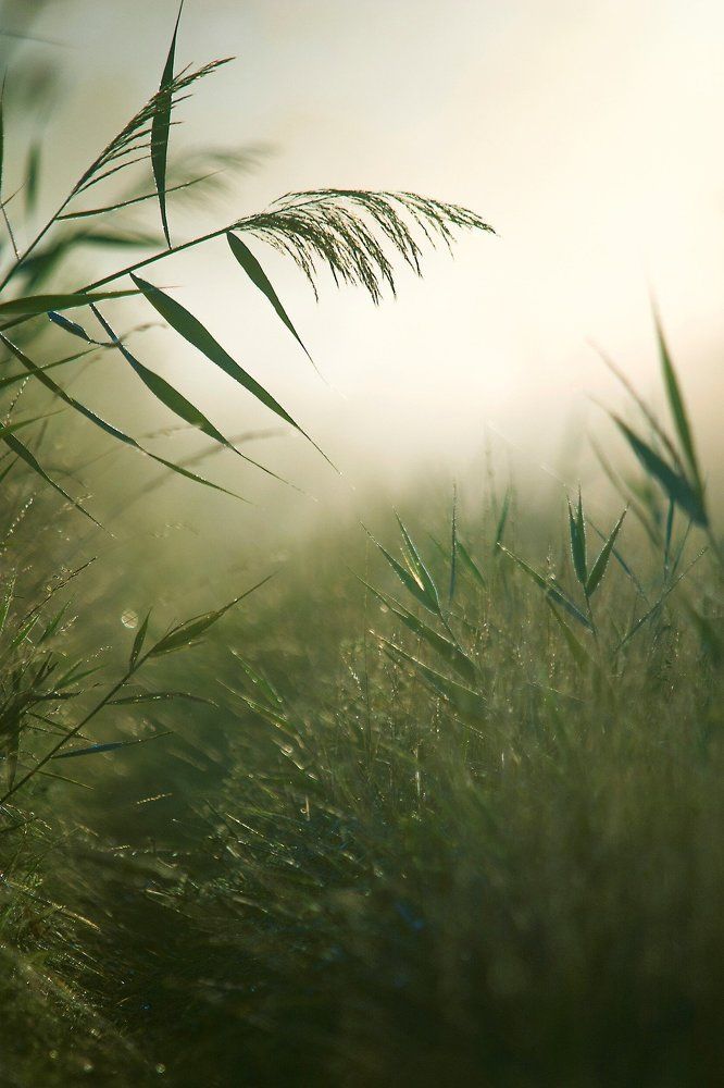 Начало дня.