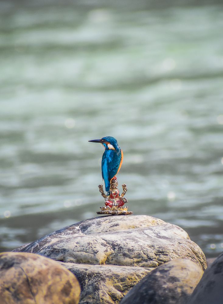 God and his beautiful creation