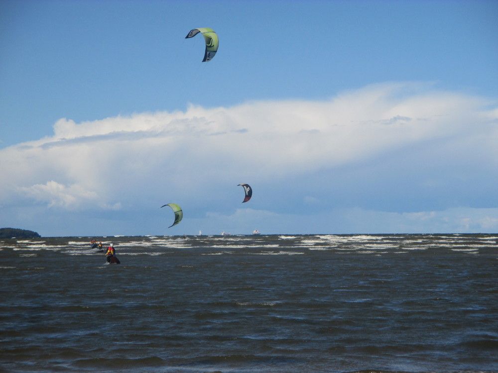 Photo #2501713