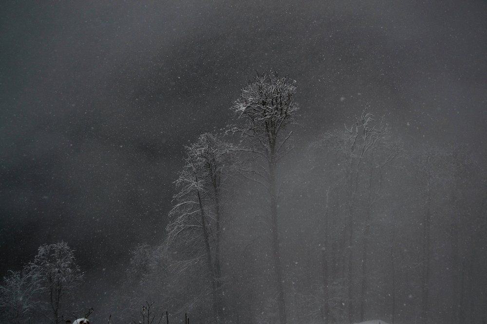 Снежный туман