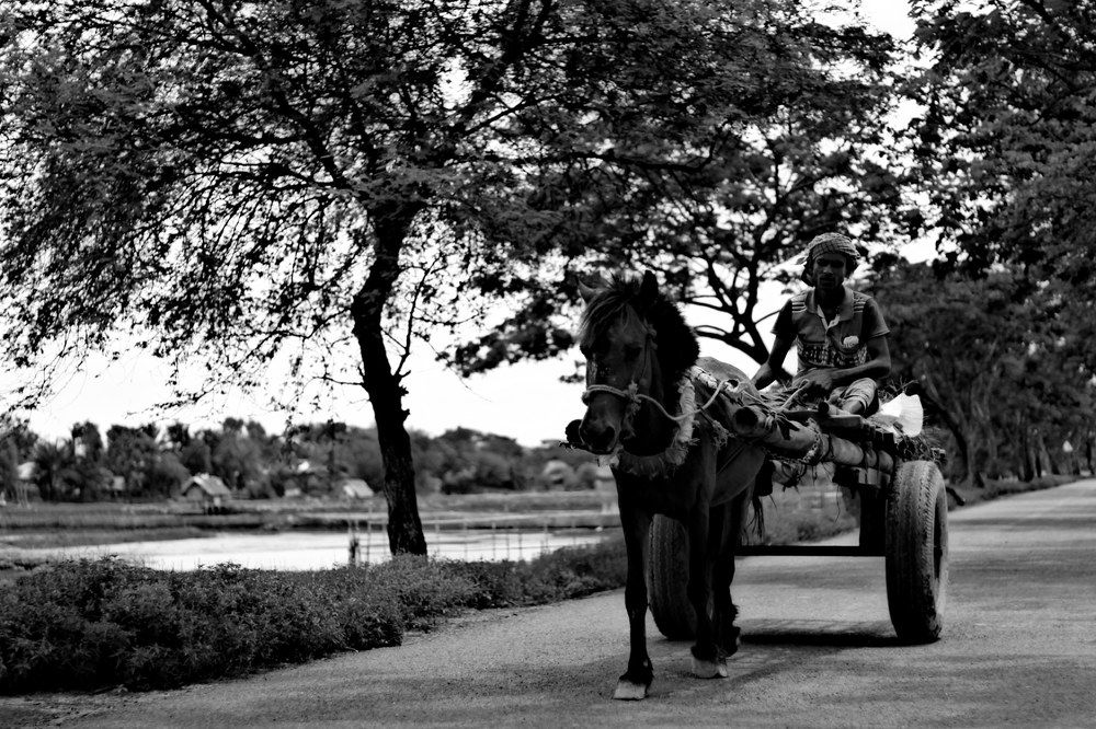 Traditional carriage