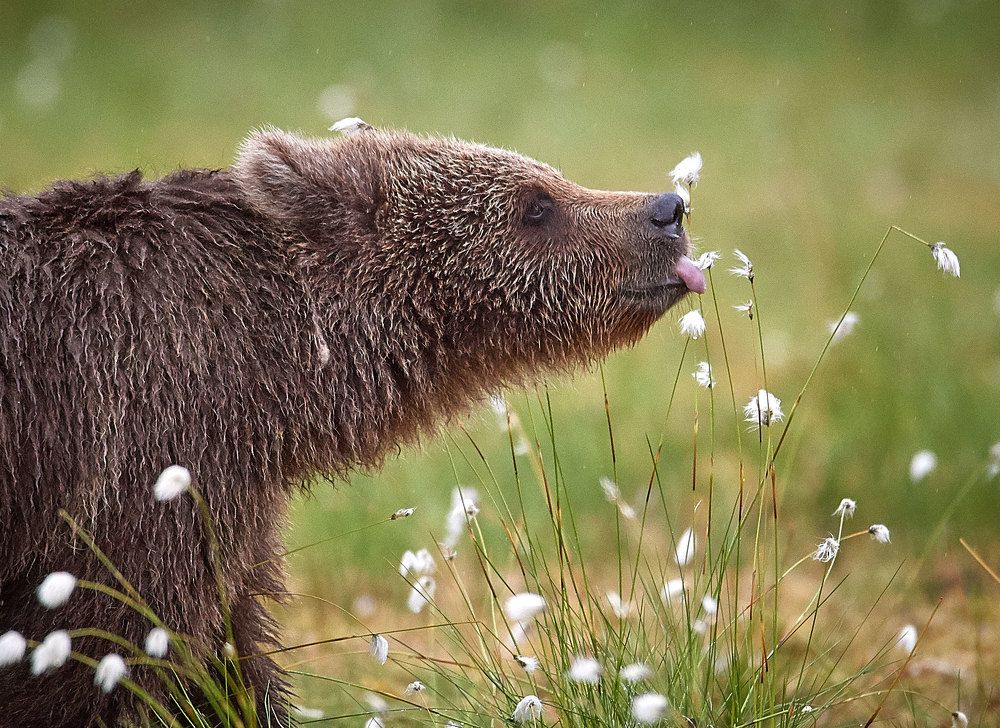 Притяжение
