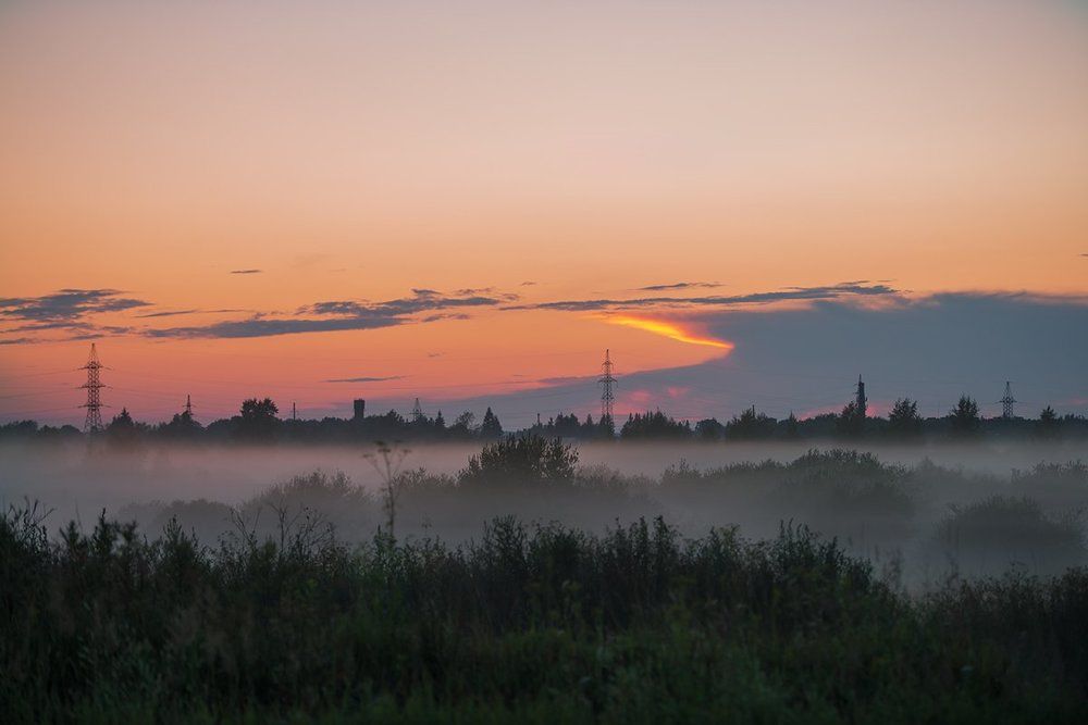 по дороге домой