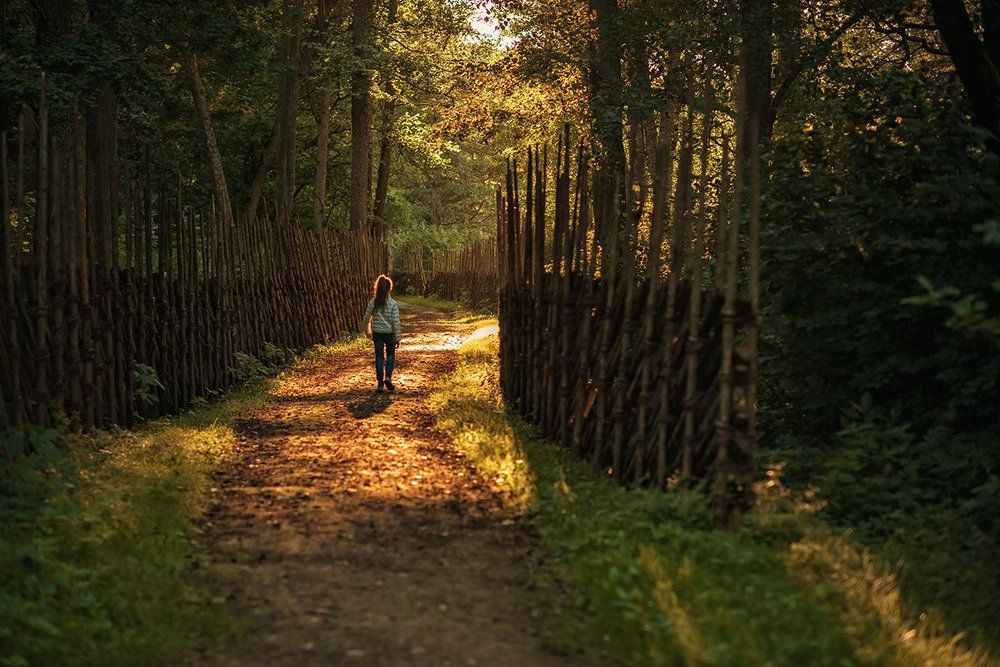в гостях у сказки