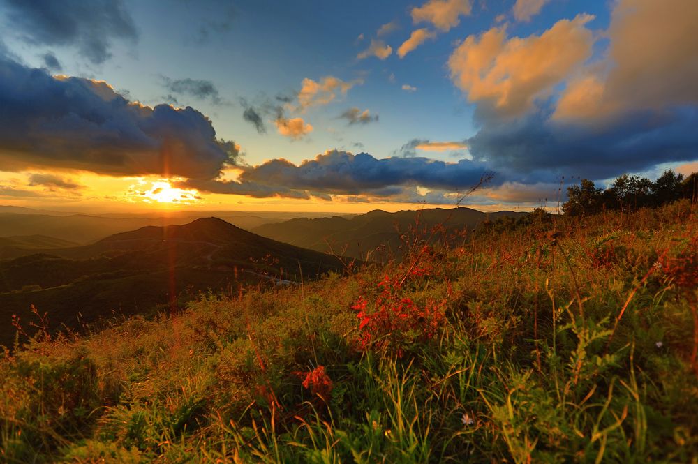 Вечерняя пастораль