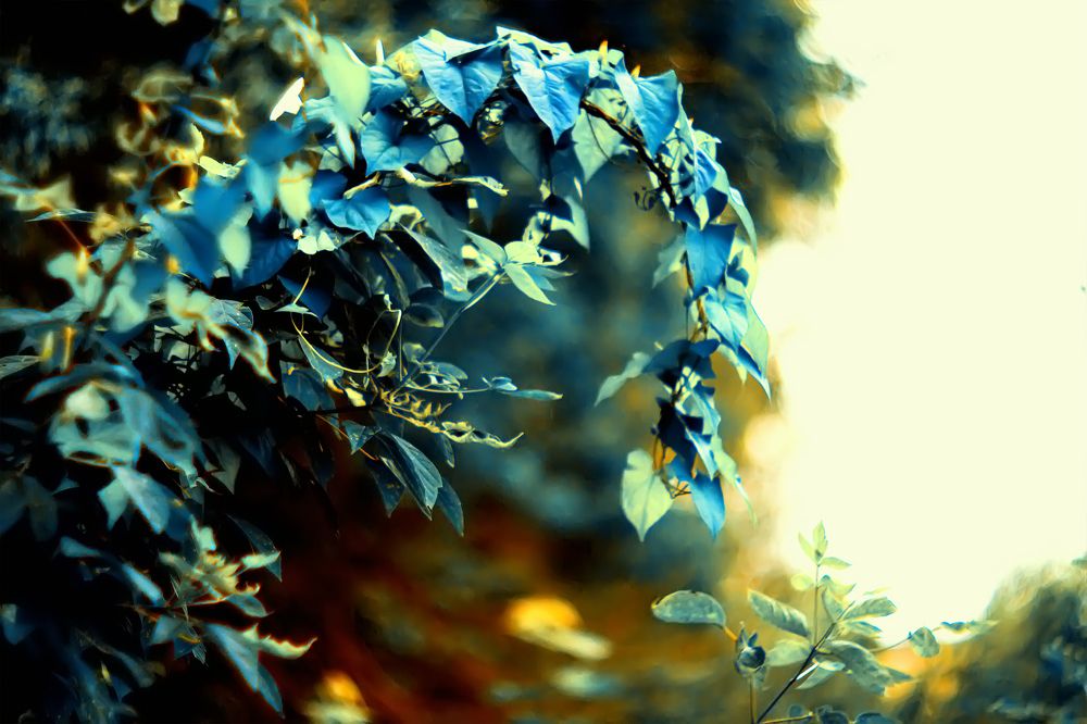 Photograph by Андрей Скобелев