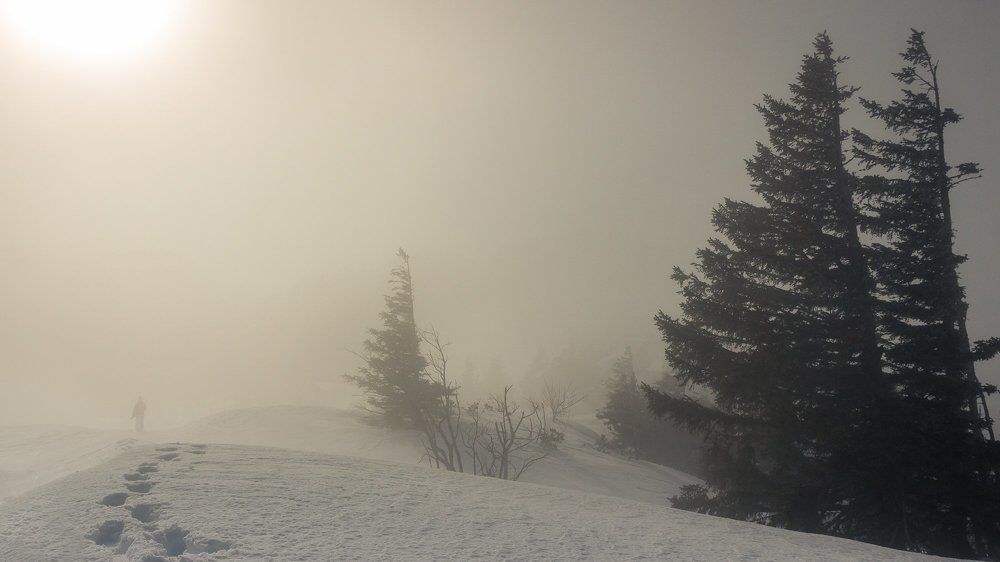 путь в тумане