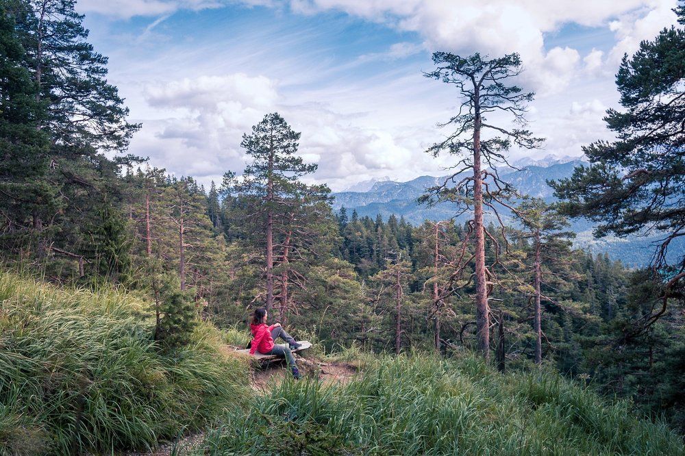 Горная тропа