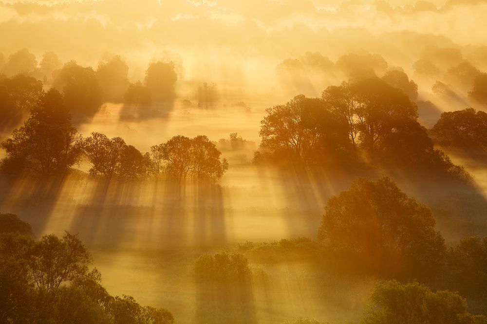 Золотой рассвет.