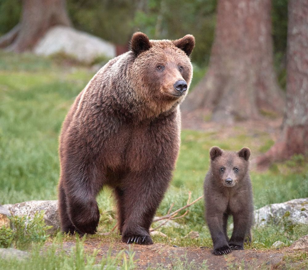 На прогулке с мамой