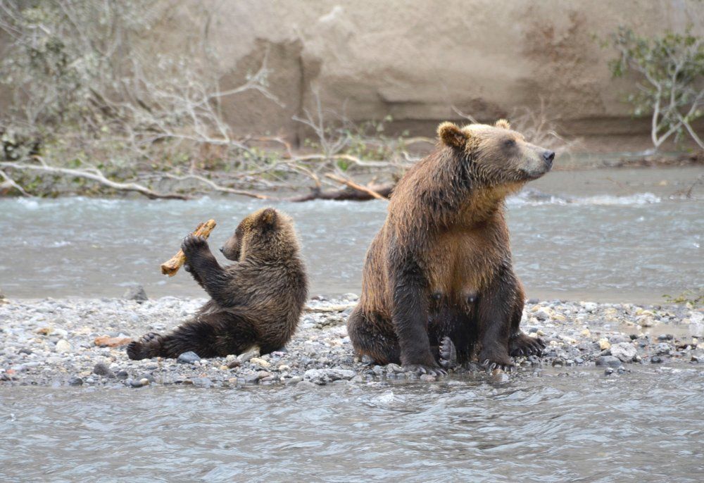 Мать и дитя