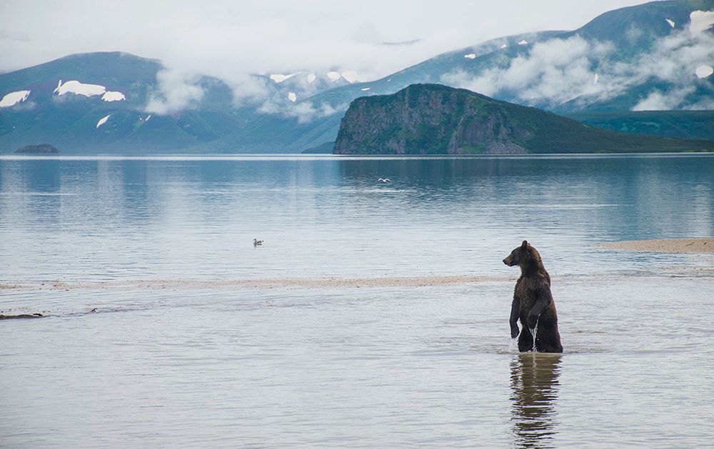 Рыбалка на Курильском озере