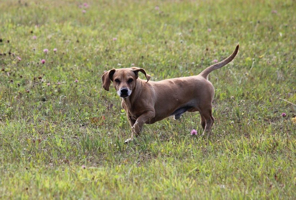 На природе.