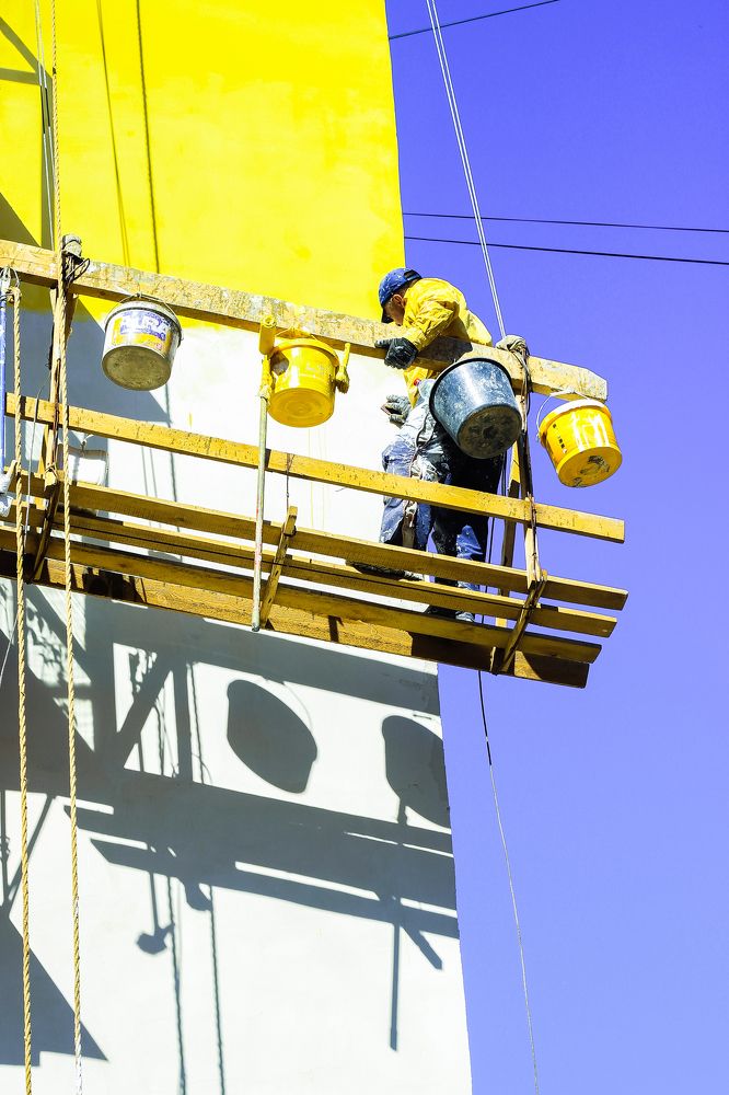 Dance of the blue and yellow