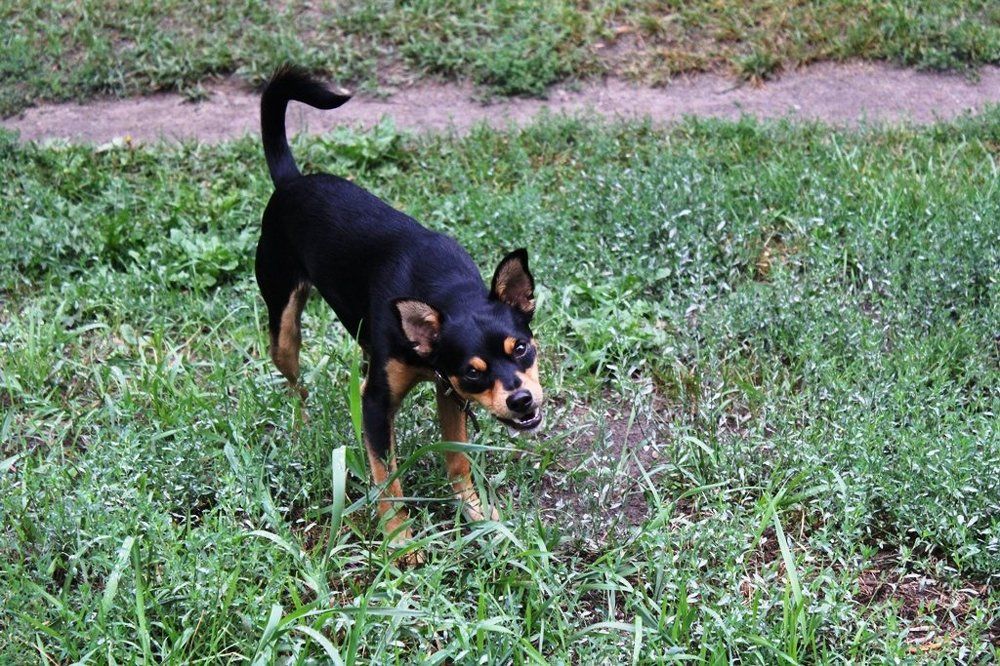 На прогулке.